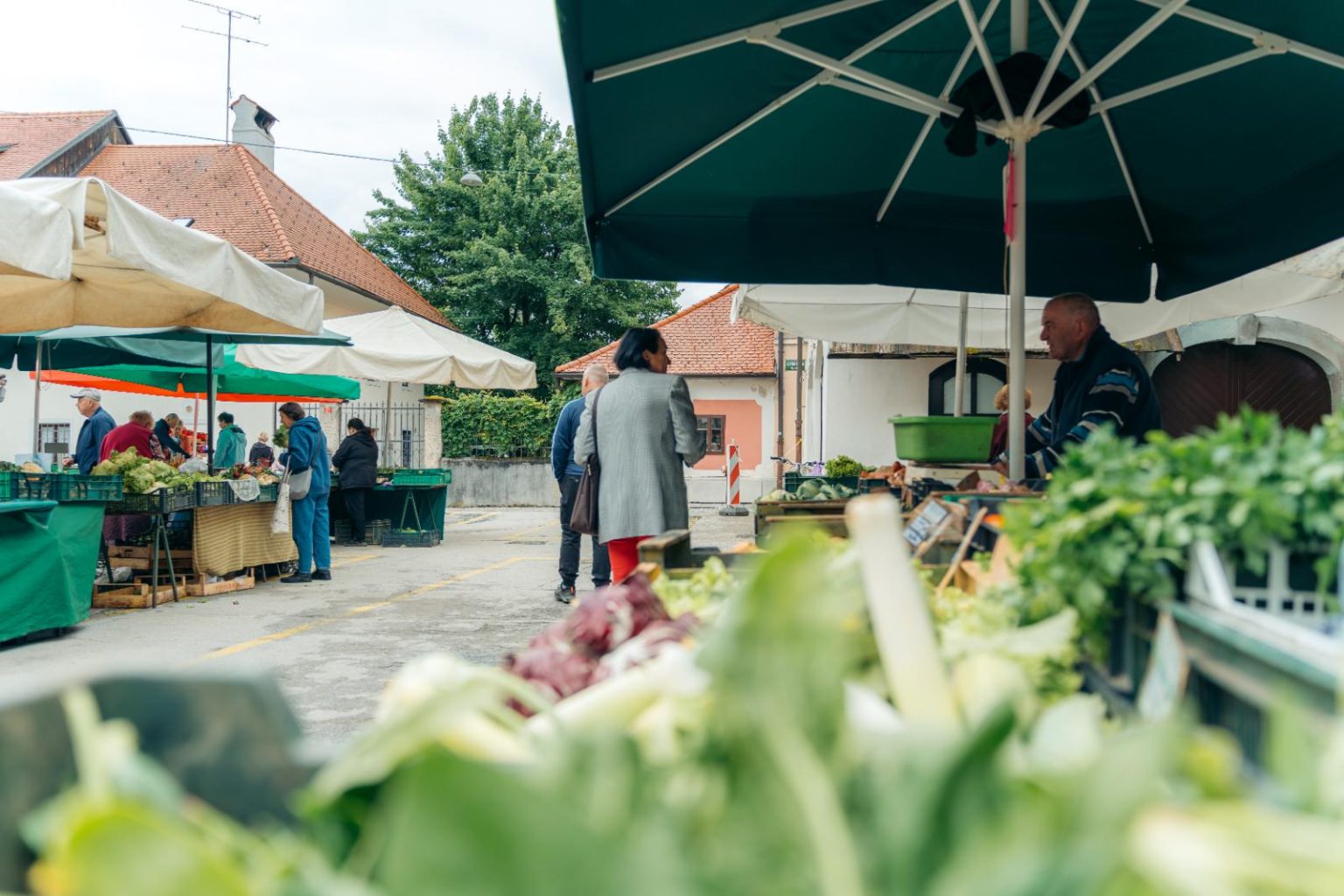 Pestro na tržnicah v Kranju - Visit Kranj