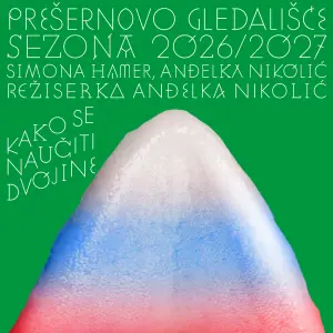 S. Hamer, A. Nikolić: Kako se naučiti dvojine